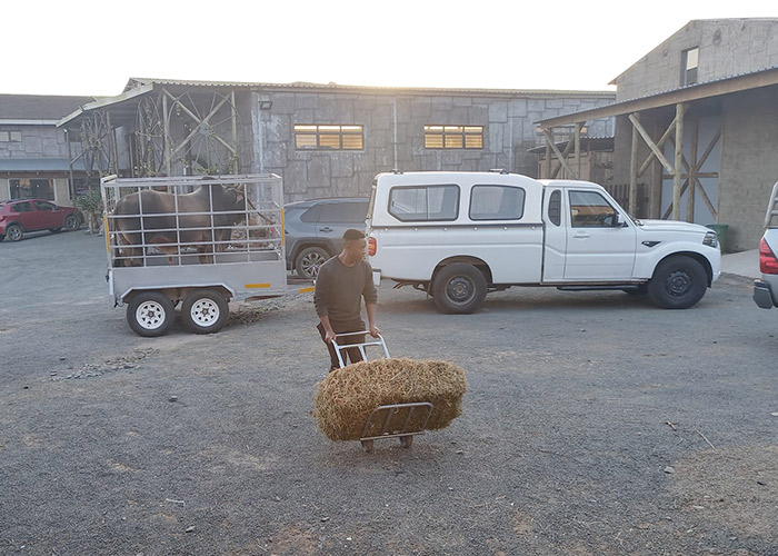 teamoh-bale-bakkie-loading
