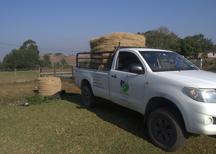 teamoh-bale-delivery