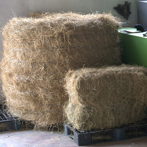 teamoh-big-and-small-bale