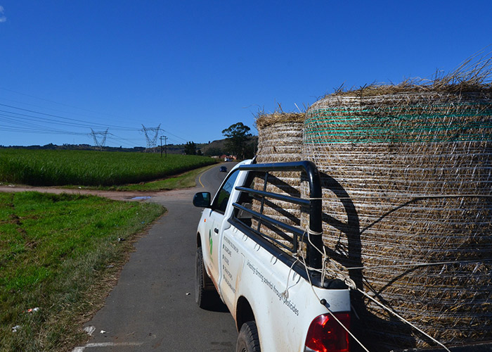 teamoh-delivery-van-hay
