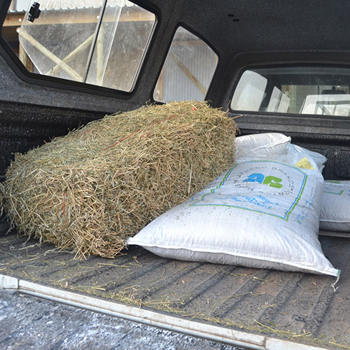 teamoh-lucerne-animal-feed